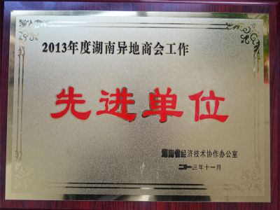 2013异地商会工作先进单位