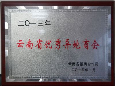 2013云南省优秀异地商会奖牌