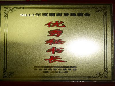 2013年优秀秘书长奖牌